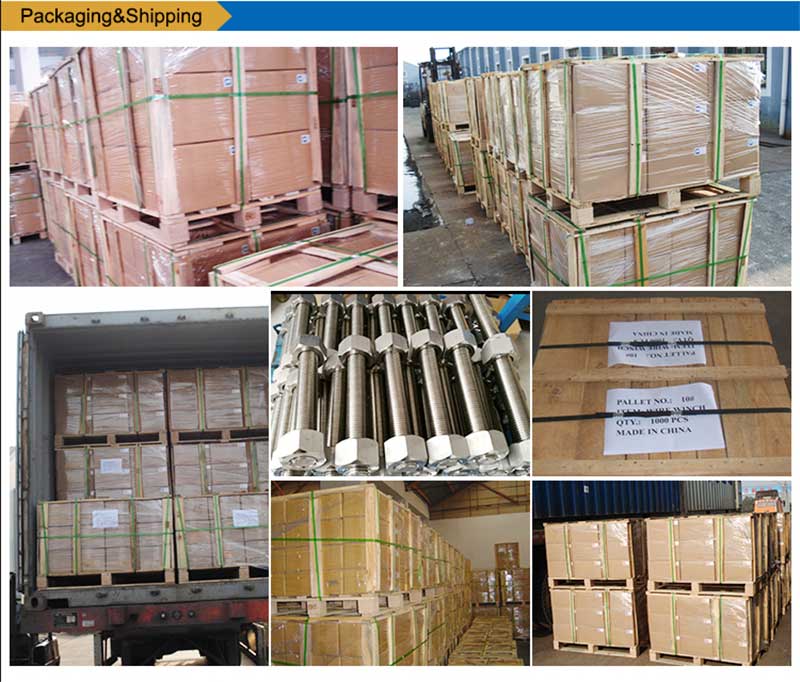 უჟანგავი ფოლადის სია-ჭანჭიკები-ხრახნიანი შესაკრავი-შეფუთვა